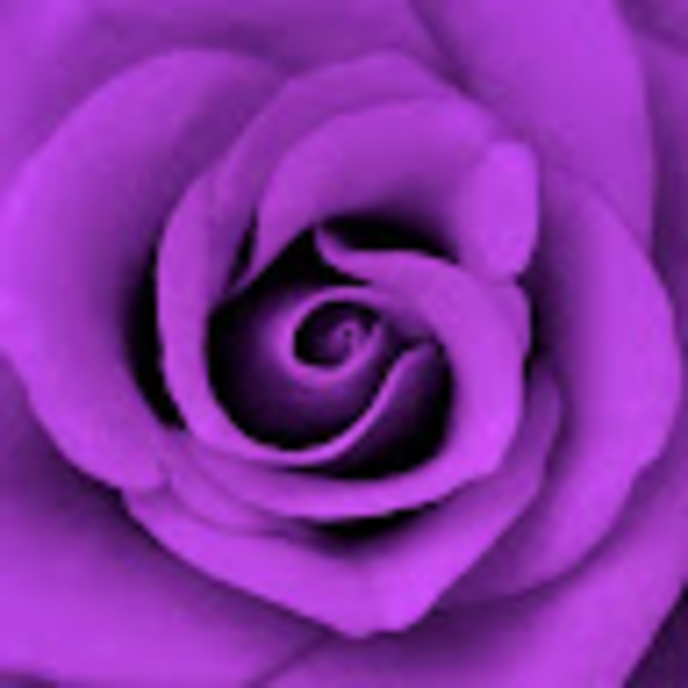 Meet your Posher, Sarina